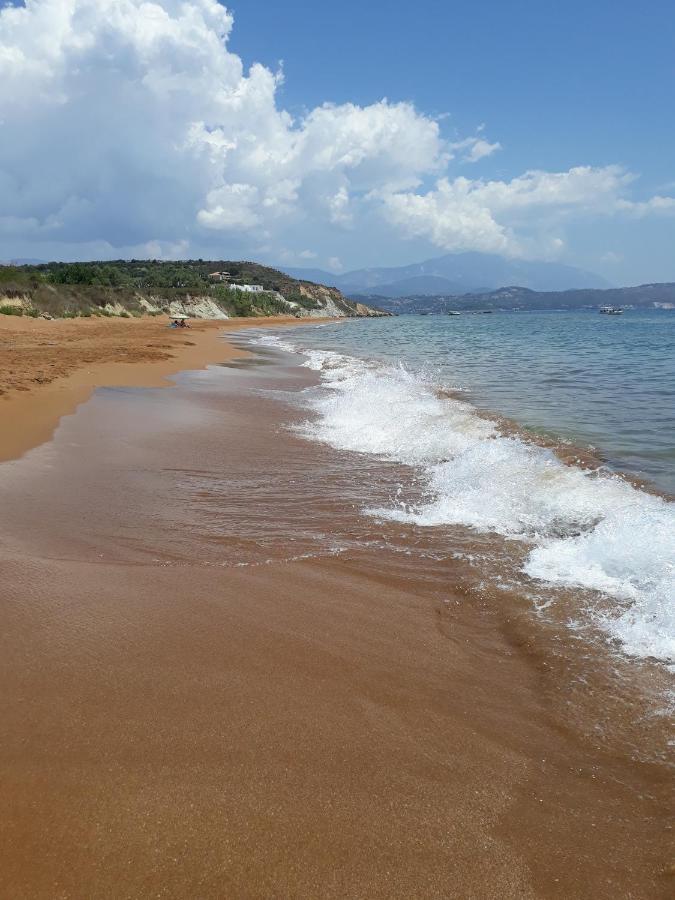 Apollonides Seafront Villa1 Aoede Lixouri Bagian luar foto