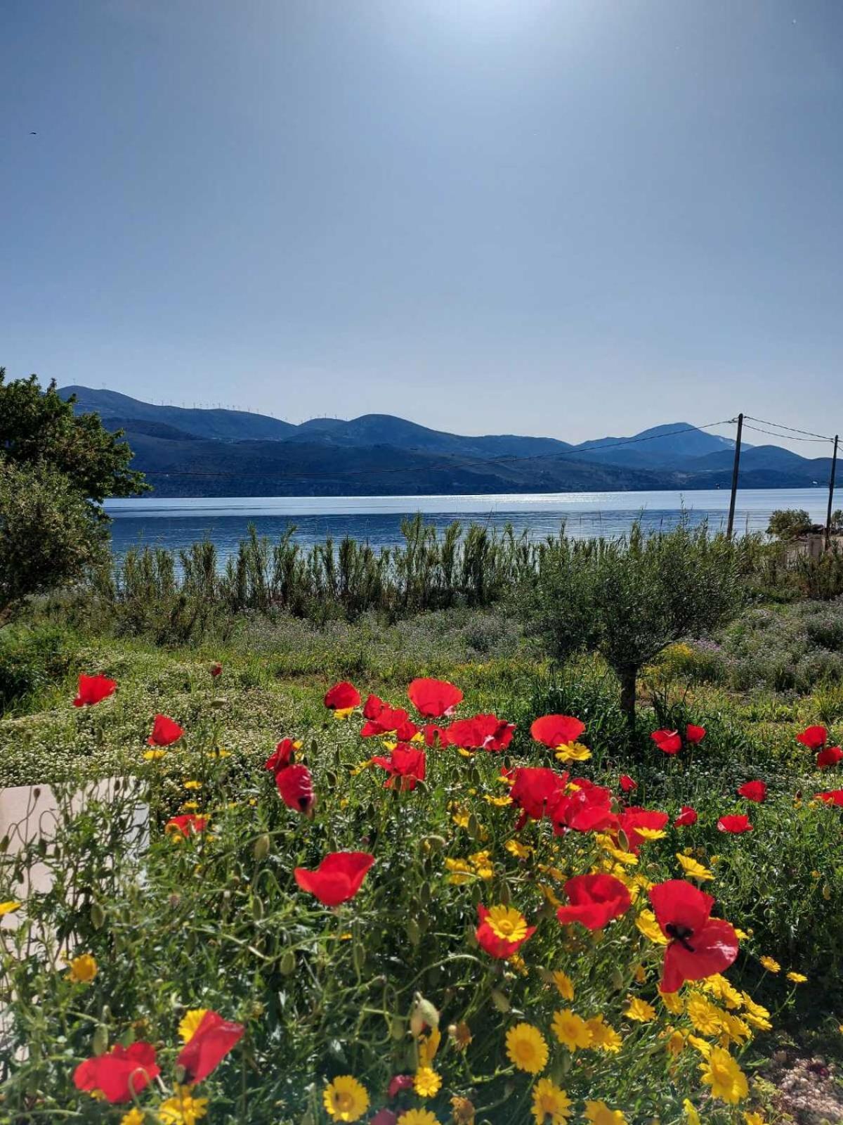 Apollonides Seafront Villa1 Aoede Lixouri Bagian luar foto